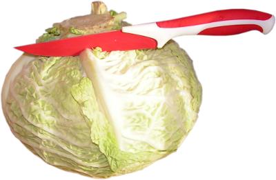 kapusta w�oska, czerwony n� kuchenny