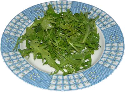 rukola