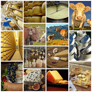 ser ��ty, ser bia�y, twar�g, krowa, nabia�, winogrono, parmezan