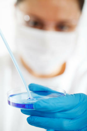 pr�bka, badania w laboratorium, laborantka, laborant, r�kawiczki jednorazowe niebieskie