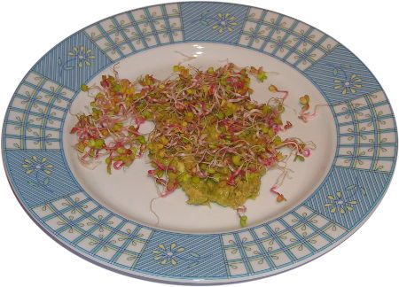 pasta z awokado, kie�ki rzodkiewki