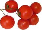 pomidory koktailowe