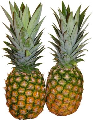 ananasy, ananas