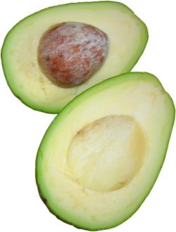 owoc awokado, pestka awokado