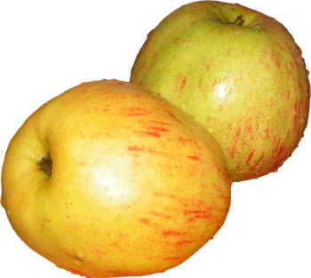 jab�ka