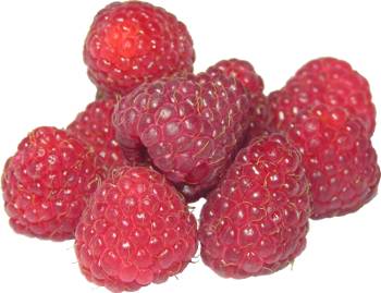 maliny, malina, czerwone maliny, czerwona malina