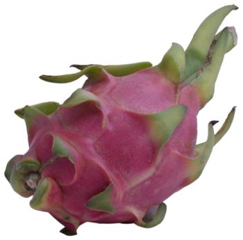 pitaja, pitaya, pitahaja, pitahaya, smoczy owoc
