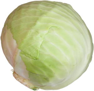 kapusta bia�a