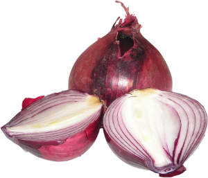 cebula czerwona