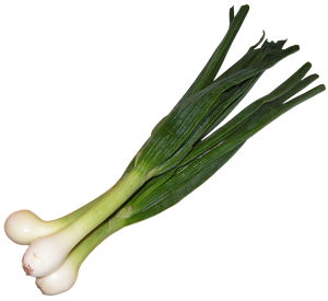cebula dymka, dymka, ma�a cebula