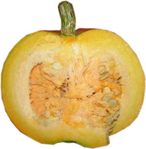 dynia pomara�czowa, p� dyni