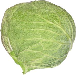 kapusta w�oska