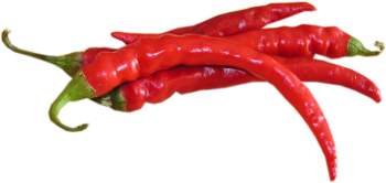 papryka chili, ostra papryka, papryka kozi r�g