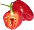 papryka habanero, ostra papryka chili, meksyka�ska ostra papryka, chili, ostre papryczki, pestki ostrej papryki