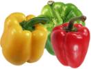 papryka s�odka ��ta, papryka s�odka czerwona, papryka s�odka zielona, papryka czerwona, papryka zielona, papryka ��ta