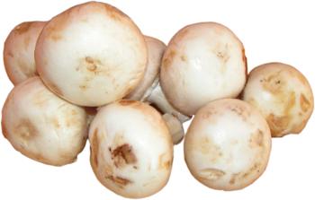 pieczarki