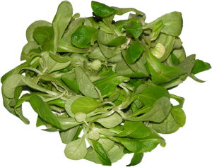 roszponka